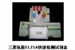  Melamine Elisa Test Kit